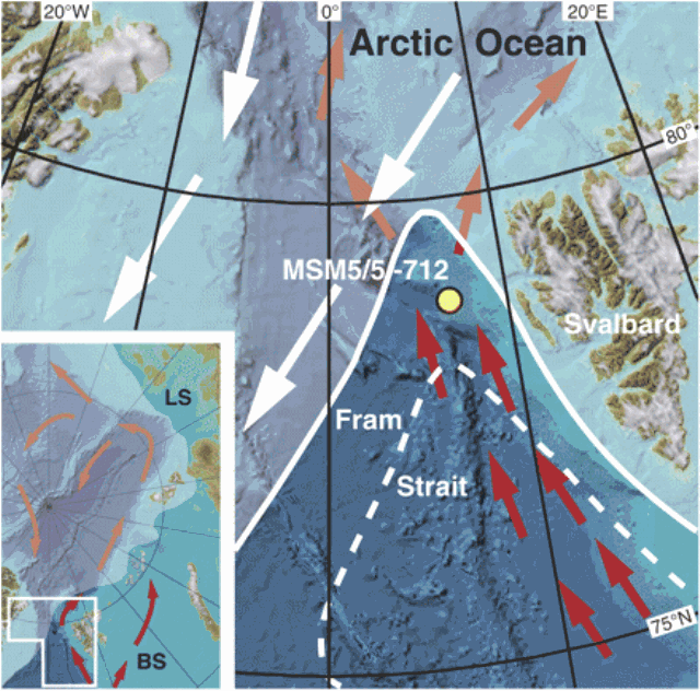 Bathymetric map of the Fram Strait area and the eastern Arctic Ocean (inset; source: www.ibcao.org). Average sea ice coverage for April [1989 to 1995; stippled line: 1963 to 1969 (31)] and September (inset; 1979 to 2000; source: http://nsidc.org) is indicated by white shading. White arrows indicate ice flow direction in Fram Strait area. Red arrows indicate flow direction of Atlantic Water. Atlantic water flow is below halocline waters in the Arctic Ocean proper. Yellow spot marks station MSM5 / 5-712 at 78°54.94'N, 6°46.04'E, 1491-m water depth. BS, Barents Sea; LS, Laptev Sea. Spielhagen, et al., 2011