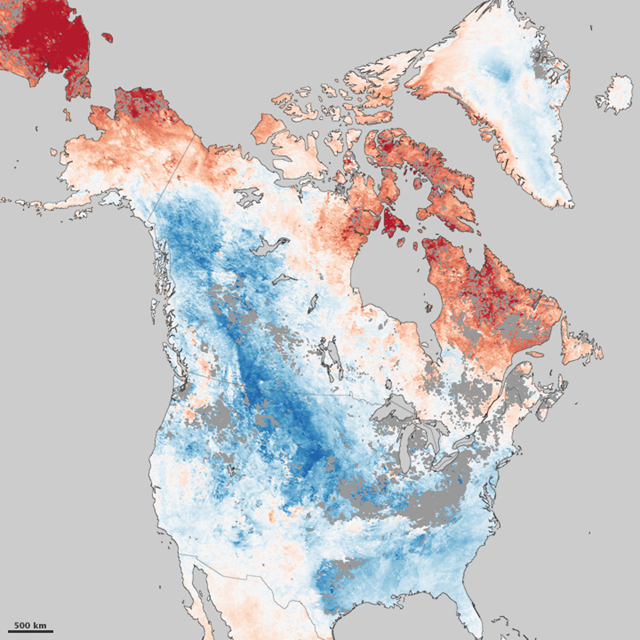 North America temperature anomalies for January 9 to 16, 2011, compared to the same dates from 2003 through 2010. The anomalies are based on land surface temperatures observed by the Moderate Resolution Imaging Spectroradiometer (MODIS) on NASA’s Aqua satellite. Areas with above-average temperatures appear in red and orange, and areas with below-average temperatures appear in shades of blue. NASA Earth Observatory image created by Jesse Allen