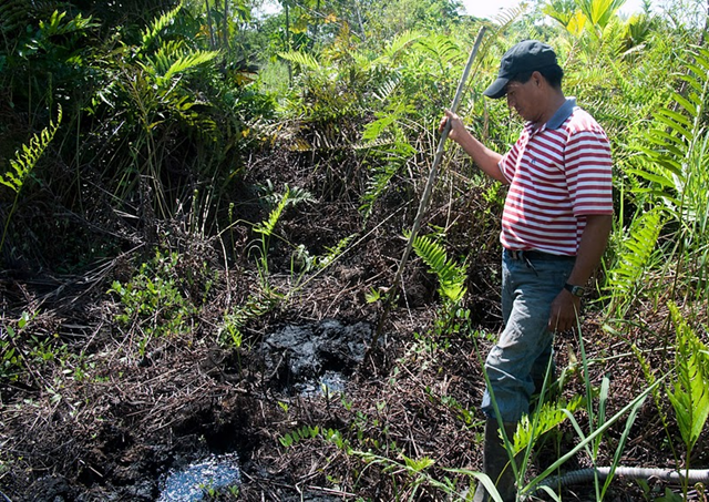 Nelson Alvarado, 46, arrived in the Oriente in 1981 and began working for Texaco. Here, he stands next to one of three waste pits near Yuca 2B oil well in the town of Taracoa, Ecuador. Many cows and pigs have fallen into the unlined pits. Texaco covered up two of the pits with soil, and left the third pit open. amazonwatch.org
