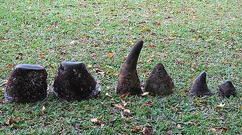 Horns of black rhinos confiscated in Zimbabwe, April 2009. Photo: International Rhino Foundation