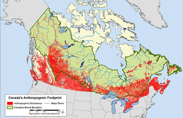 Anthropogenic Footprint in Canada Boreal Forest, 2011. While industrial disturbances have to date been largely concentrated in the south, expansion northward continues. According to a new report by the Pew Environment Group, Canada’s boreal forest contains the world’s largest and most pristine freshwater ecosystem on Earth. Global Forest Watch Canada / pewenvironment.org