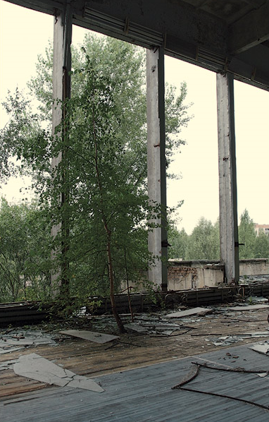 A tree grows through the floor of a gym in Pripyat. Photo: Alexandr Vikulov / englishrussia.com