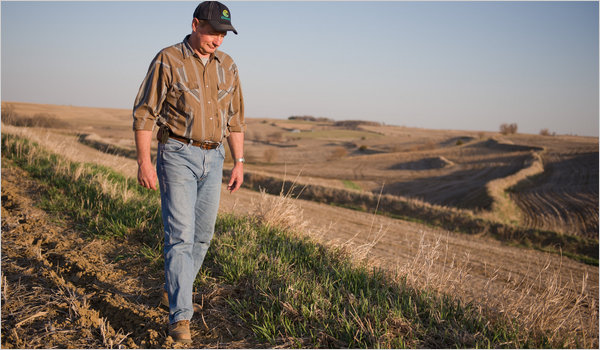 Bill Hammitt on his farm near Portsmouth, Iowa, where he has terraced the land, refrained from tilling, and taken other measures to curb soil erosion. Mark Kegans for The New York Times