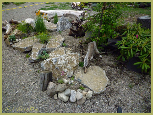 Jardin alpin MiniRocailleJardinAlpin10%2006%2003_86RM