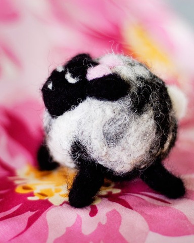 [Petunia2[2].jpg]