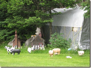 IMG_3187 IMG_3187