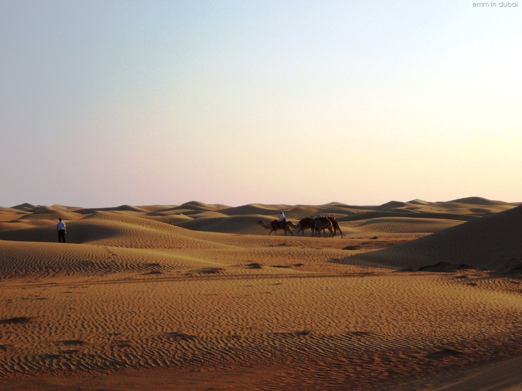 [Dubai Desert[5].jpg]