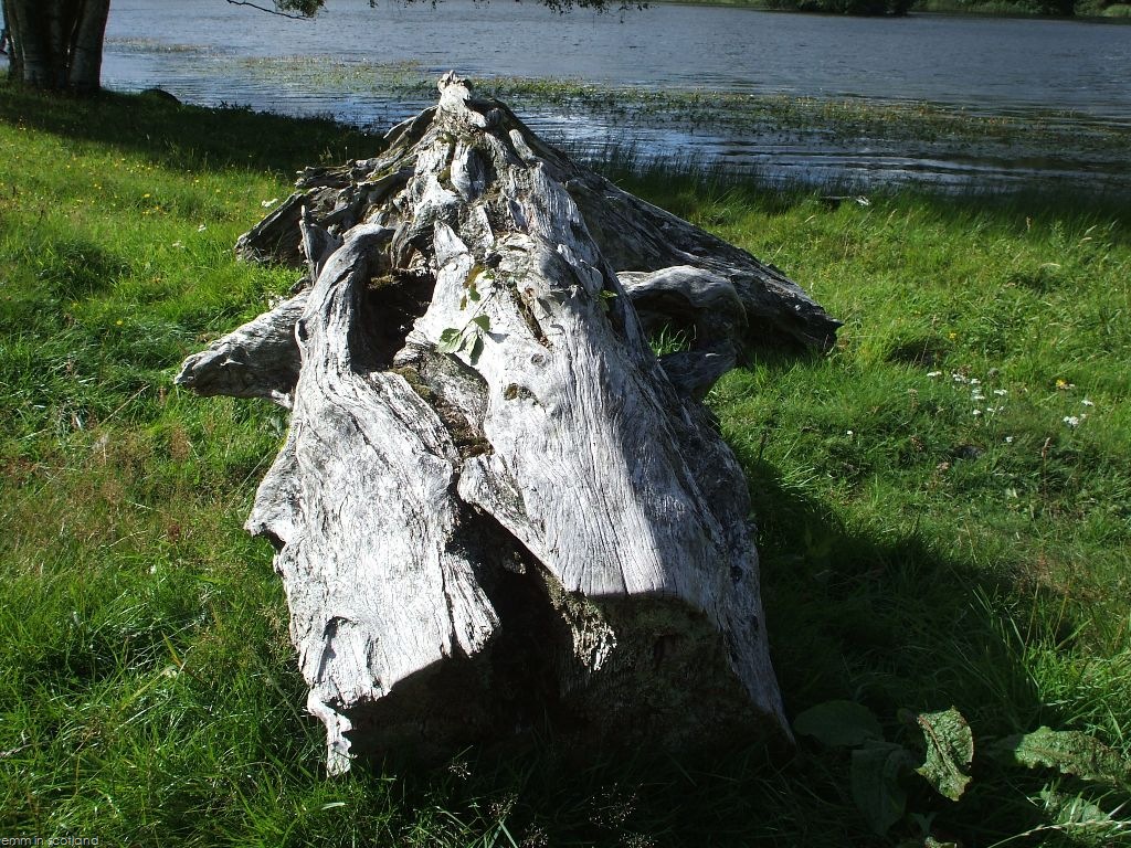 [Loch Monzievaird (62)[2].jpg]