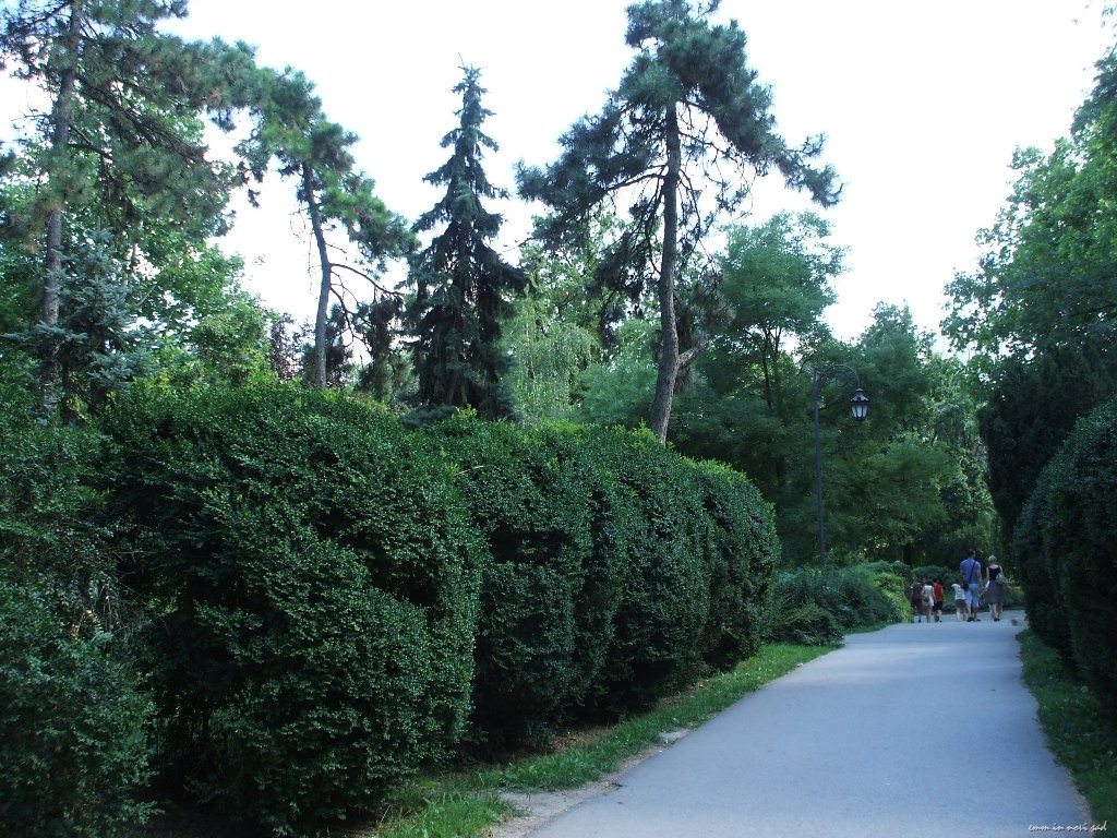 [Dunavski Park, Novi Sad (2)[3].jpg]