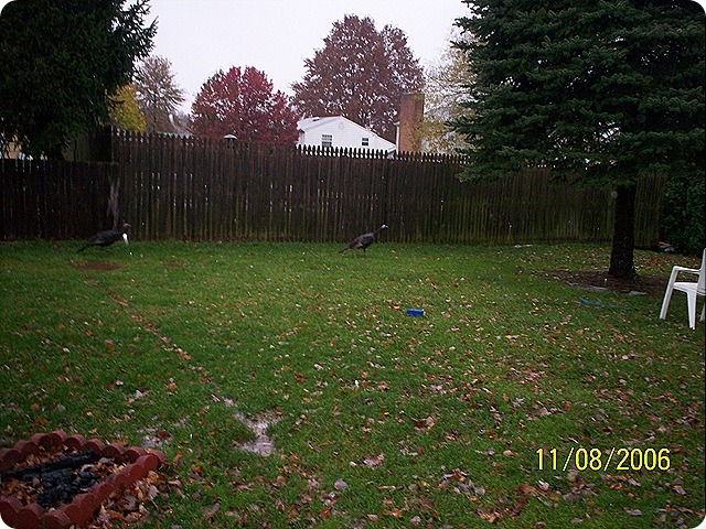 100_0649 100_0649