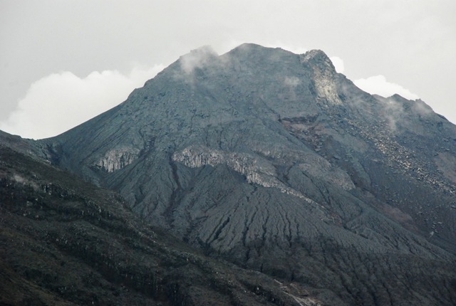[DSC_9832[3].jpg]