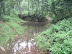 P1100537.JPG