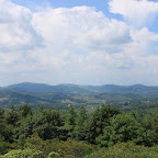 IMG_2822.JPG