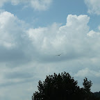 IMG_2832.JPG