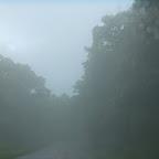 IMG_2678.JPG