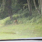 IMG_2691.JPG