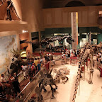 IMG_1929.JPG