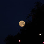 IMG_2069.JPG