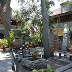 IMG_3415.JPG