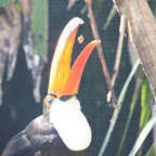 IMG_3580.JPG