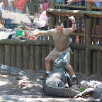 IMG_3754.JPG