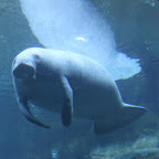 IMG_3916.JPG