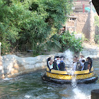 IMG_4649.JPG