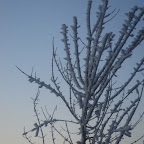 DSC08930.JPG