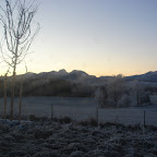 DSC08931.JPG