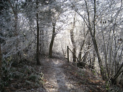 [Muxton Marsh Nov, Dec 2010 066[2].jpg]