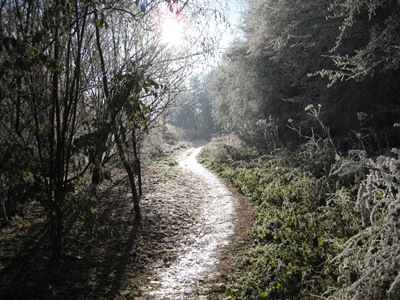 Muxton Marsh Nov, Dec 2010 054 Muxton Marsh Nov, Dec 2010 054
