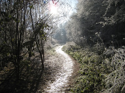 Muxton Marsh Nov, Dec 2010 054