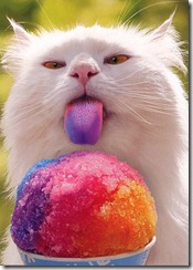 slurpee-tongue-cat