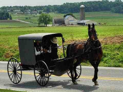 [amish2[2].jpg]