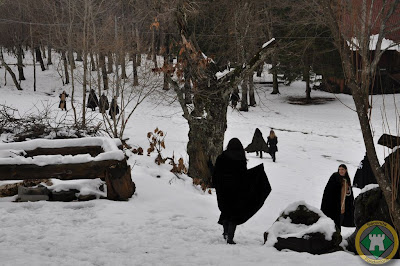 DSC_0242.JPG