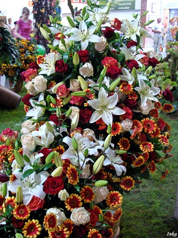 [KopiaDSC051102.jpg]