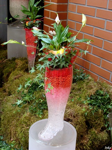 [Kopia DSC05140[2].jpg]