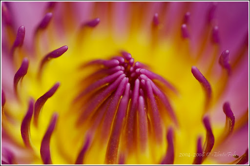 site de rencontre adolescent gratuit