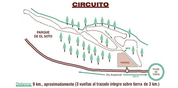 Circuito