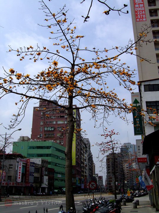[DSCF0587.jpg]