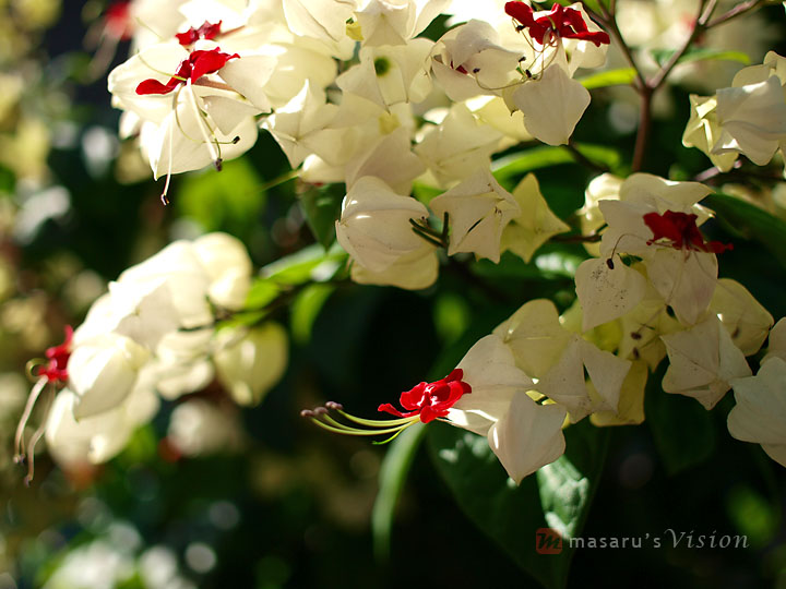 [PC021200.jpg]