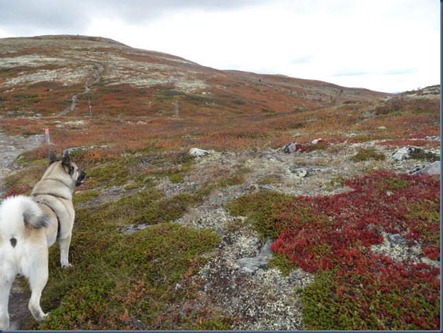 17.09 øyvassrunden 010