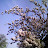 FLOWERSSSSS..........I LOVEEEEE