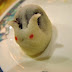 DSCF6344.JPG