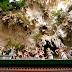 DSCF6538.JPG