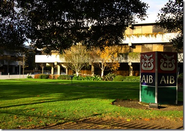 Index Discount Car Insurance Rental Cars