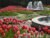 Armstrong — Lockett House Things to Do in Knoxville TN