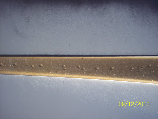 100_2551.jpg