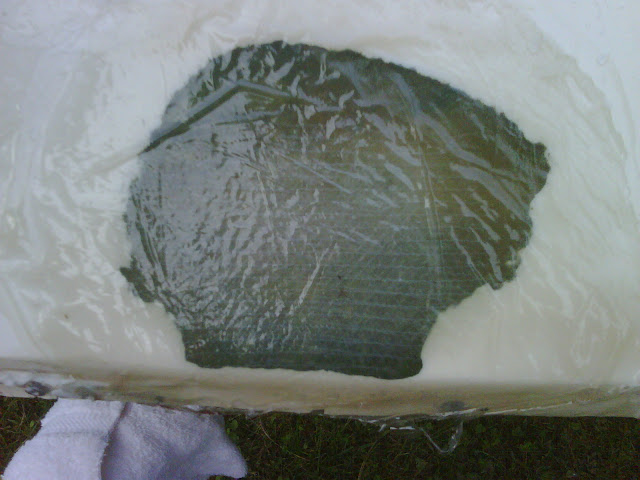 IMG00554-20100910-0724.jpg