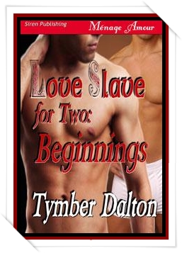 Love Slave for Two:  Beginnings